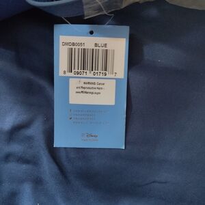Disney Blue Bag